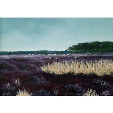 Balloerveld 2, olie op paneel, 21x30