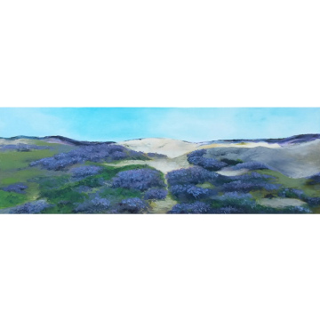 Kale duinen bij Appelscha 2, olie op doek, 40x120