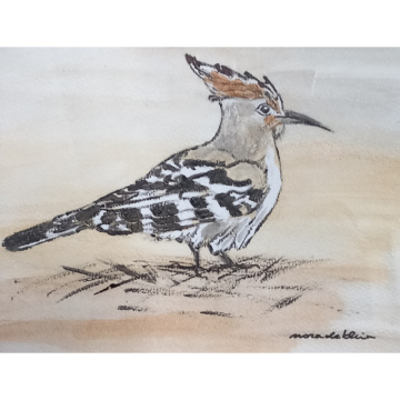 Hop, acryl op aquarelpapier, 13x17