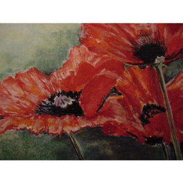 Klaproos, pastel op papier, 40x60