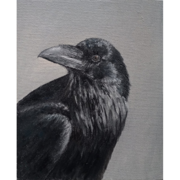 Raaf, olie op paneel, 29.5x24