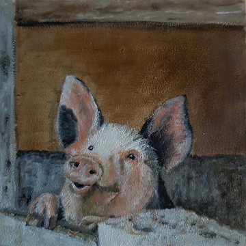 Biggetje, olie op paneel, 14x14