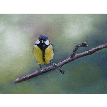 Koolmeesje, olie op paneel, 18x24