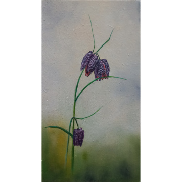 Kievitsbloem, olie op paneel, 29.5x16